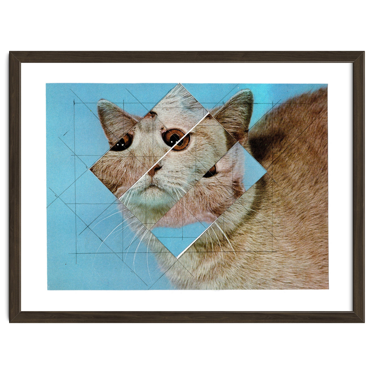 The Depressive Cat Am Abend Bekommt Den Blues