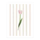 Single Tulip (Print Only) thumbnail