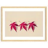 Dancing Leaves thumbnail