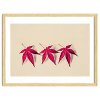 Dancing Leaves