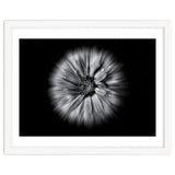 Backyard Flowers In Black And White No 10 Flow Version thumbnail