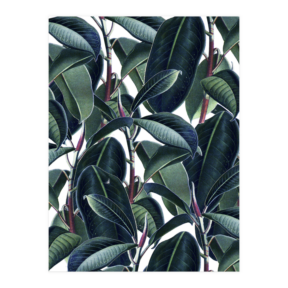 Rubber & Glue #society6 #decor #buyart  (Print Only)