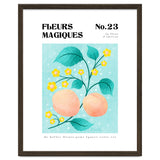 Magical Flowers No.23 Apricot Blossom thumbnail