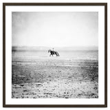 Sea Horse thumbnail