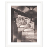 Evolving | Sepia