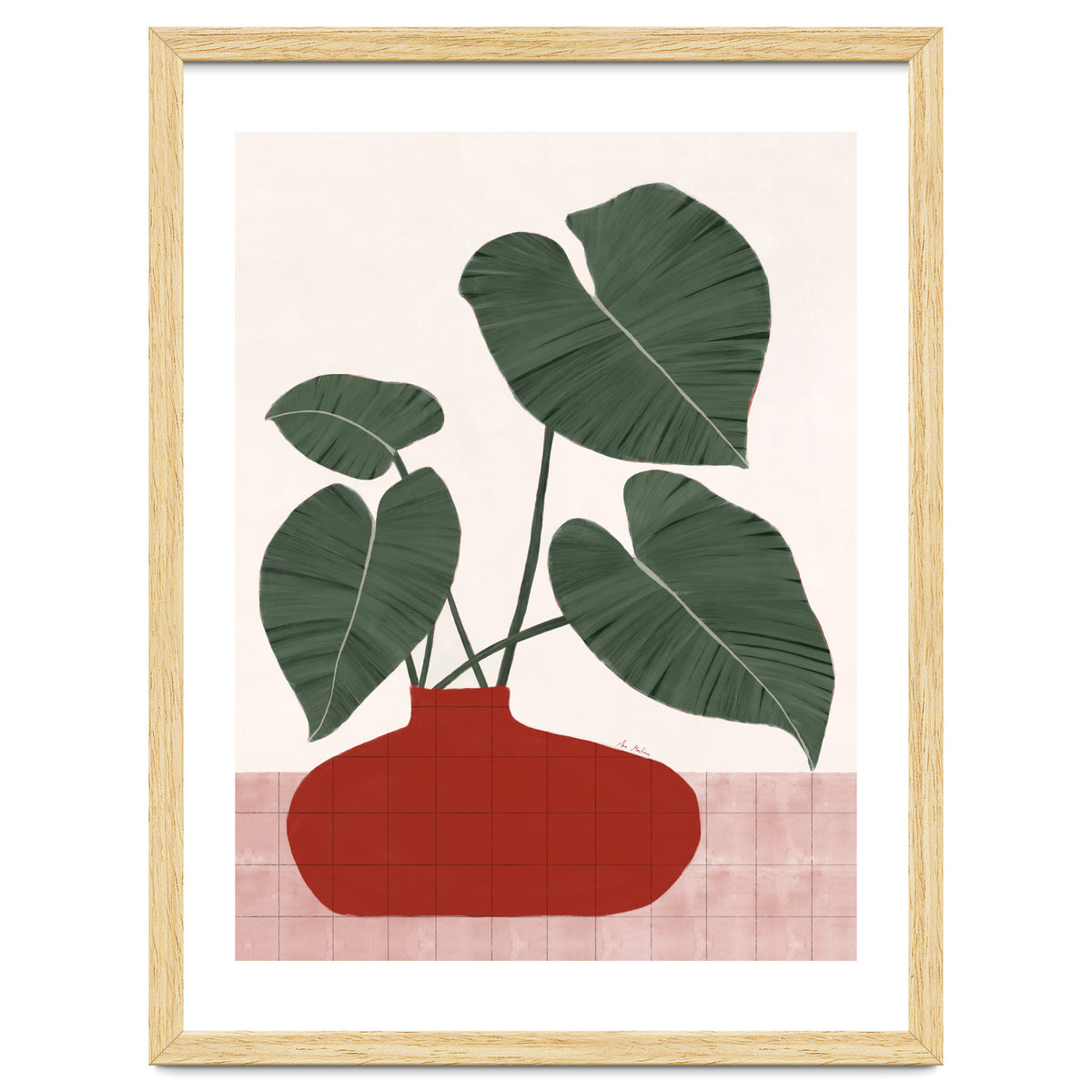 Philodendron Gloriosum plant