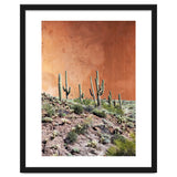 Rustic thumbnail