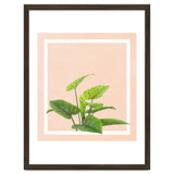 Botanical Art thumbnail