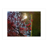 Autumn’s Embrace (Print Only) thumbnail
