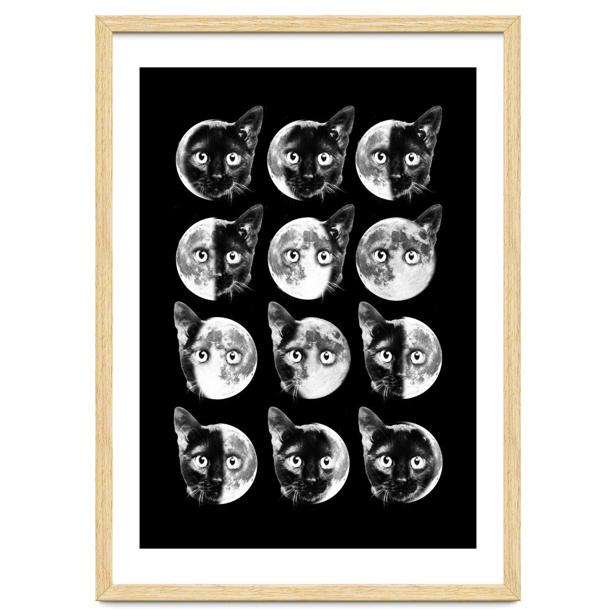 Cat Moon Phases