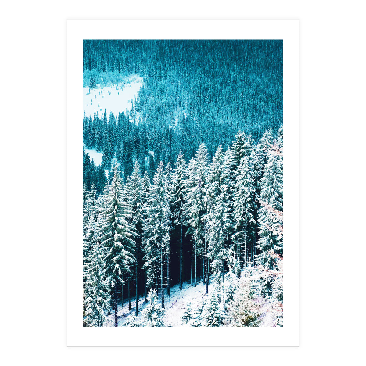 Rainforest #society6 #decor #buyart (Print Only)