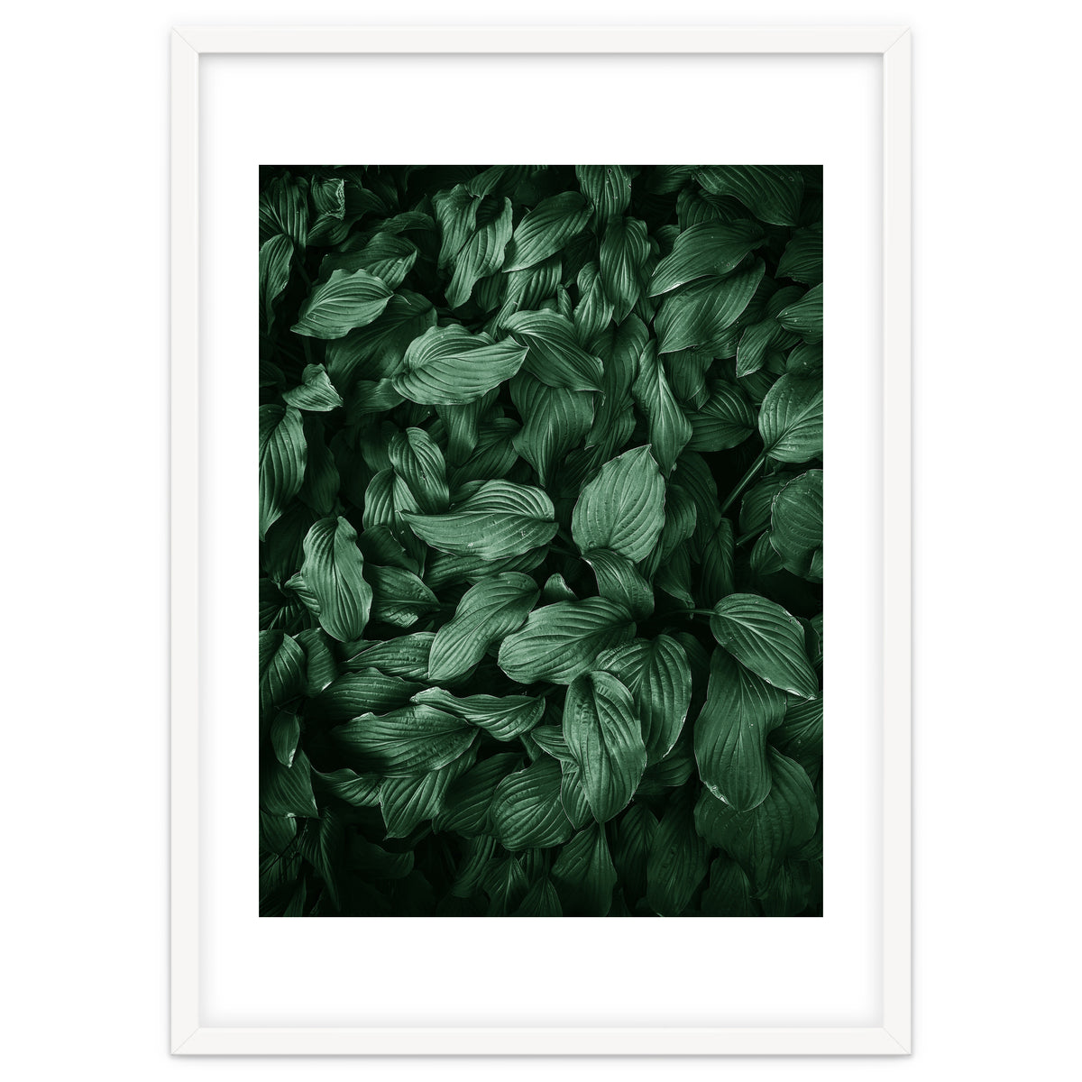 New Foliage Green Ii