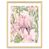 Pink Cockatoos in Love thumbnail