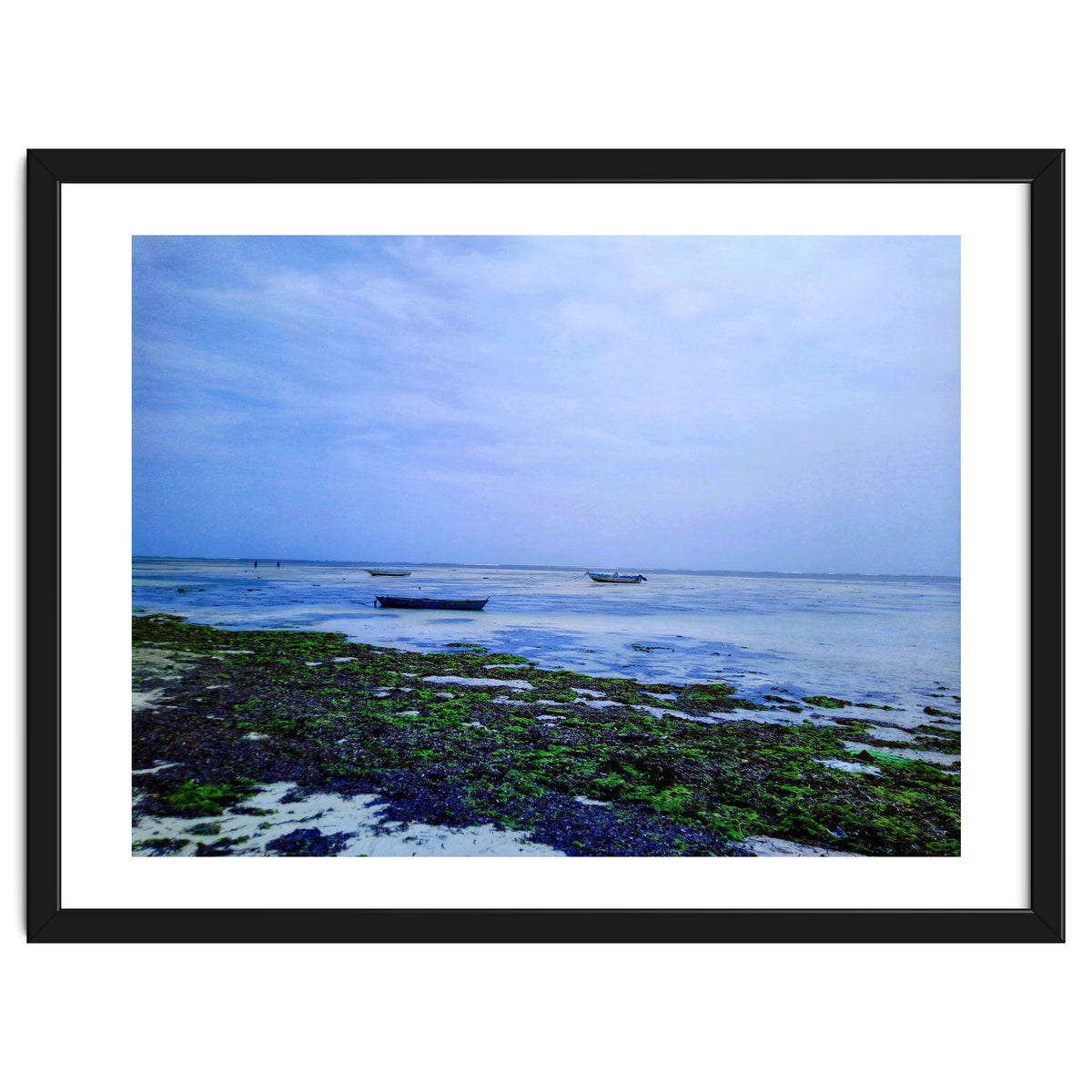 Ocean Beach At Low Tide