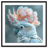 Close Up Of A White Cockatoo With Pink Crest thumbnail