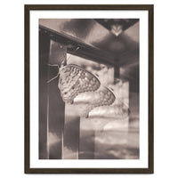 Evolving | Sepia