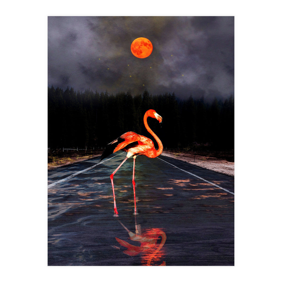 Flamingo and Red Moon  (Print Only)