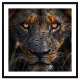 Majestic Lion Face Intense Orange Eyes Close Up thumbnail