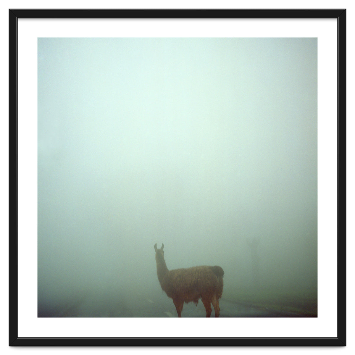 Silence of breath - 04