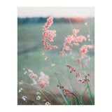 Dance With Air (Print Only) thumbnail