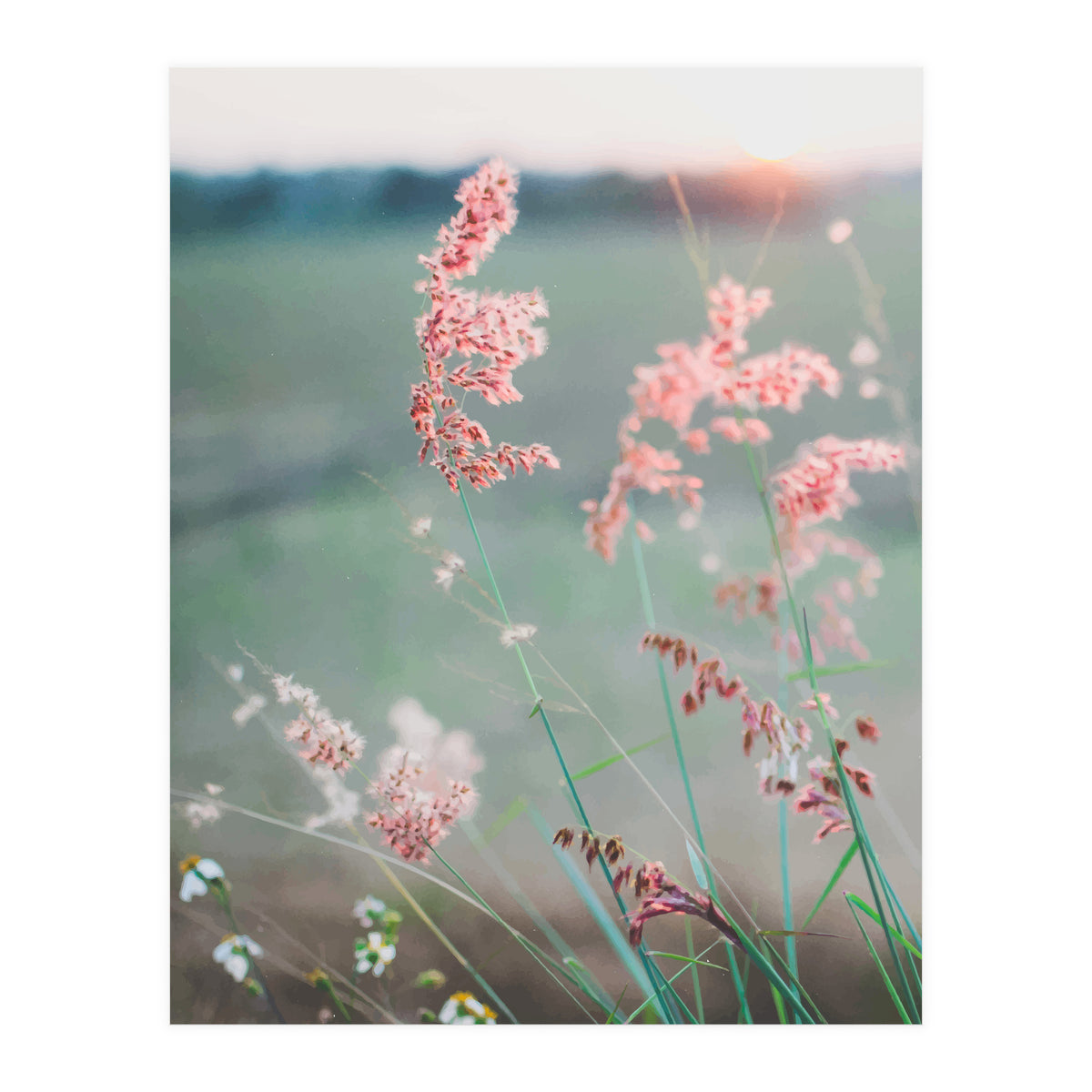 Dance With Air (Print Only)