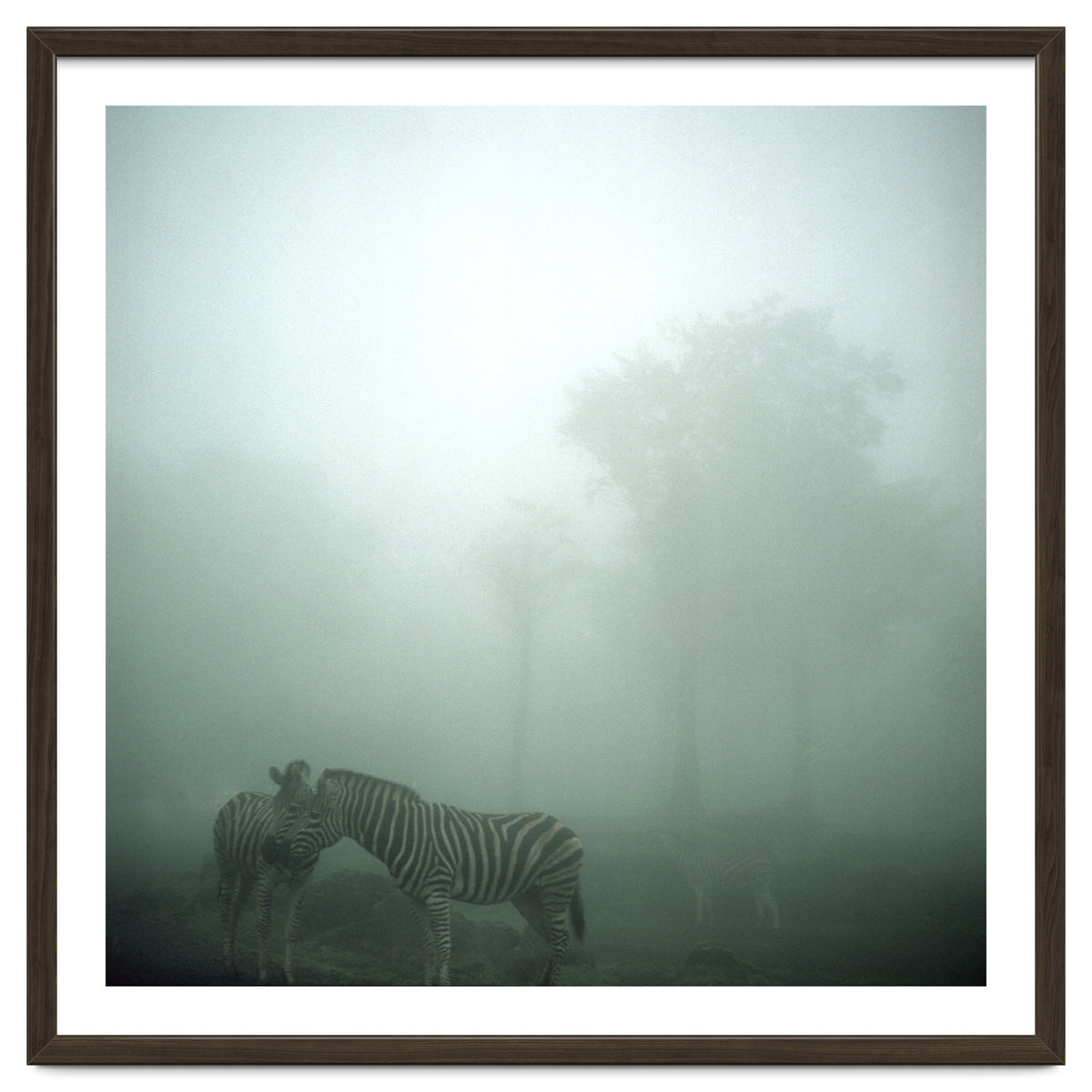 Silence of breath - 15