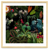 Moody Botanical Midnight Jungle Birds thumbnail
