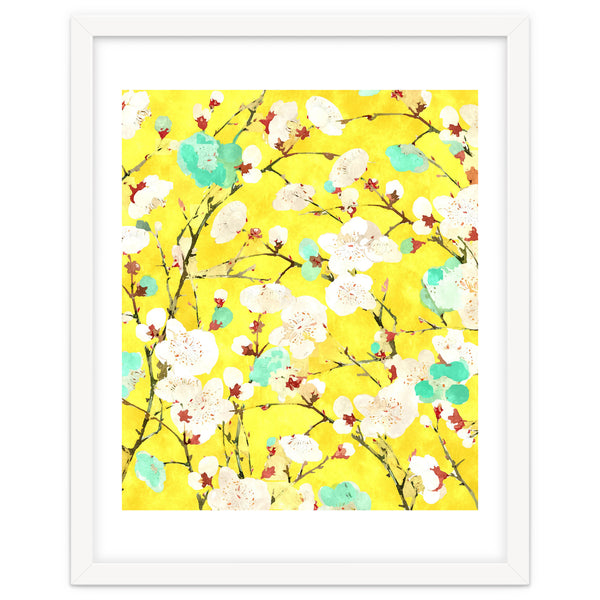 Cherry Blossom
