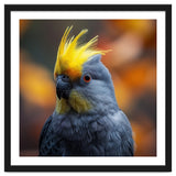 Close-up Portrait of a Yellow Cockatoo in the Wild. thumbnail