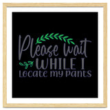Please Wait While I Locate My Pants thumbnail