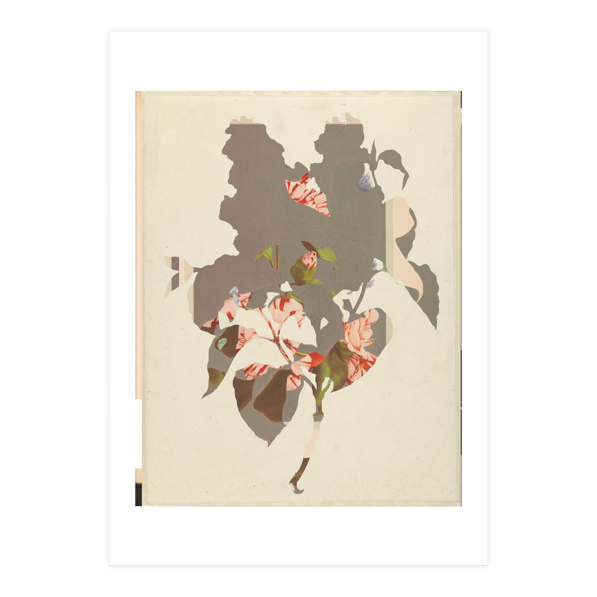 The First Plant · M2 (Print Only)