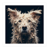 Old Dog 06 (Print Only) thumbnail