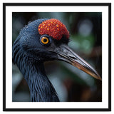 Black Crane Bird Head With Red Crown And Raindrops thumbnail