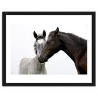 Two Horses