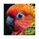 Close Up Sun Conure Parrot Eye Feathers  (Print Only) thumbnail