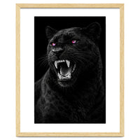 Black leopard with colorful eyes portrait