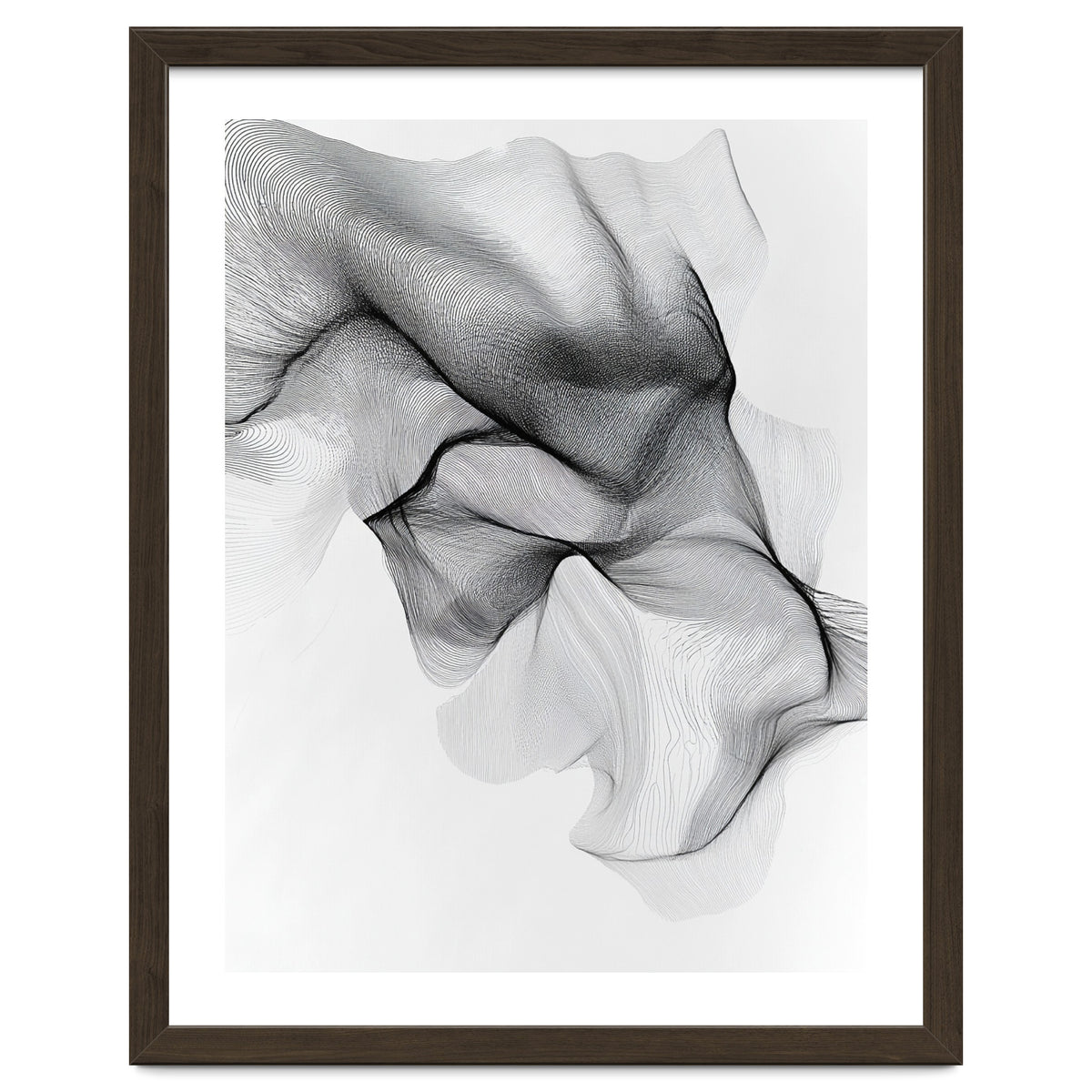Abstract Black And White Flowing Lines Forming Organic Shapes And Forms