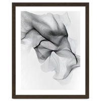 Abstract Black And White Flowing Lines Forming Organic Shapes And Forms