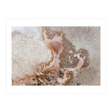 Discovery (Print Only) thumbnail