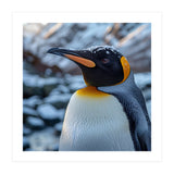 King Penguin In The Snow With Frosty Head (Print Only) thumbnail