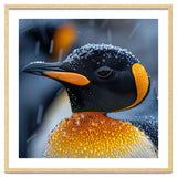 King Penguin Close Up In Snowfall thumbnail