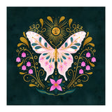Butterfly And Sun (Print Only) thumbnail