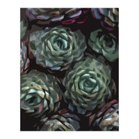 Succulent Plant Ii (Print Only)