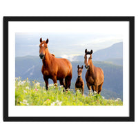 Three Horses