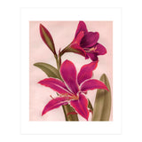 Vintage Floral (Print Only) thumbnail