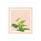 Botanical Art (Print Only) thumbnail