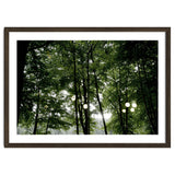 Light bulb among the trees in the summer forest thumbnail