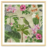 Toucans Paradise thumbnail