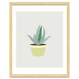 Succulent V1 thumbnail
