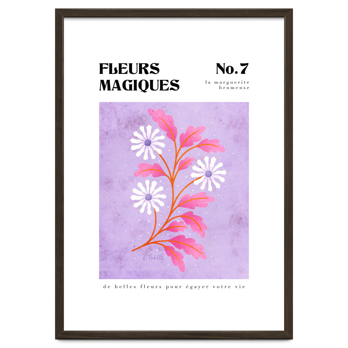 Magical Flowers No.7 Hazy Daisy